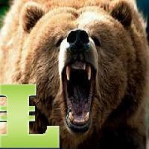 MT4-Bears MACD MT4