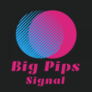 MT4-Big Pips Signal