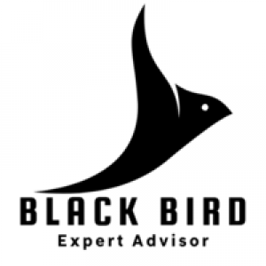 MT4-Black Bird