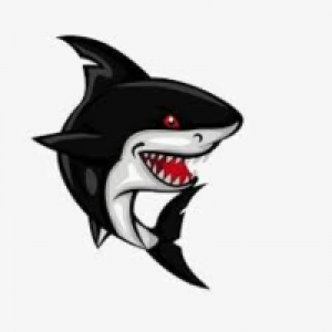 MT4-Black Shark