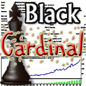 MT4-BlackCardinal