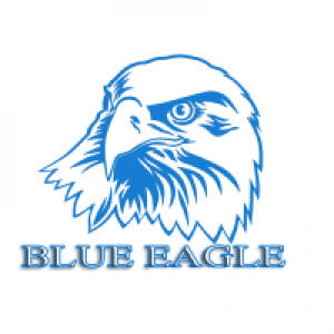 MT4-Blue Eagle