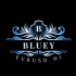 MT4-Bluey EURUSD h1