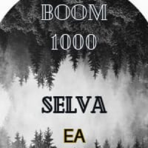 MT5-Boom Mil Selva