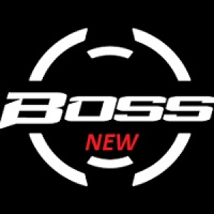 MT4-Boss New