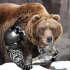MT4-Brown Bear EA