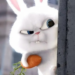 MT4-Bunny