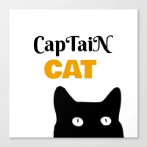 MT4-CapTaiNCAT