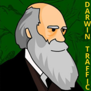 MT5-Darwin Assistant