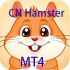 MT4-CN Hamster