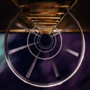 MT4-Dark Gold