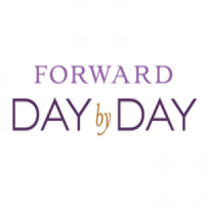 MT4-Day By Day