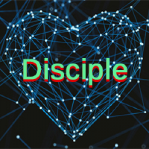 MT4-Disciple