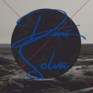 MT5-DMI Selva