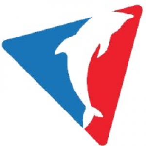 MT4-Dolphin