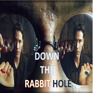 MT4-Down the Rabbit Hole MT4