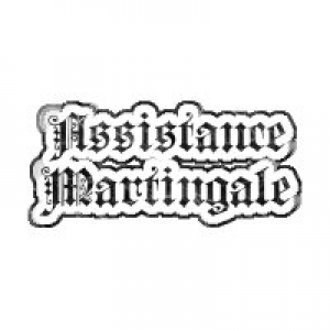 MT4-EA Assistance Martingale