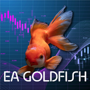 MT4-EA Goldfish