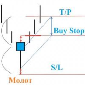 MT4-EA Pulse Reversal