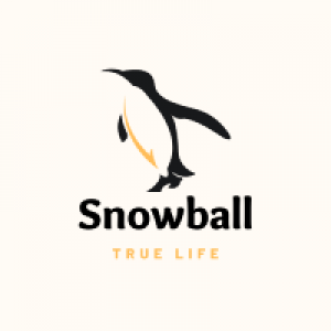 MT5-EA Snowball WIN