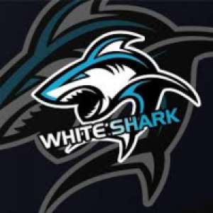 MT4-EA White Shark