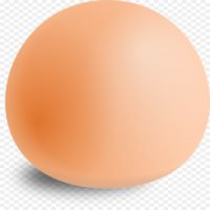 MT4-Egg