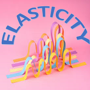 MT4-Elasticity MT4