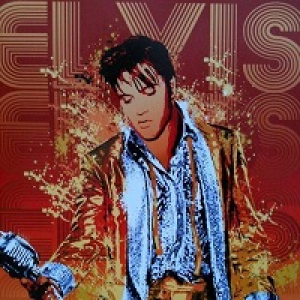 MT4-Elvis A
