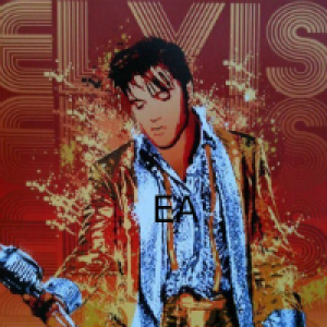 MT4-Elvis79