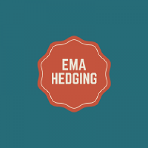 MT4-EMA Hedging