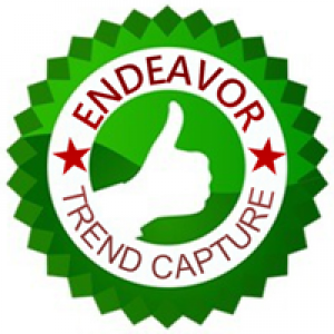 MT4-Endeavor EA