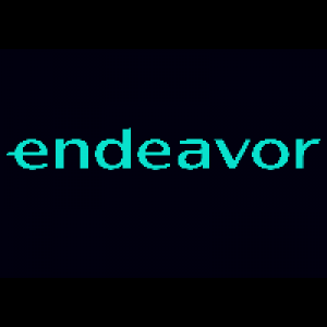 MT5-Endeavors