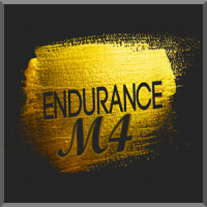 MT4-Endurance M4