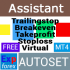MT4-Exp Assistant 4