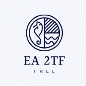 MT5-Extert Adviser 2TF