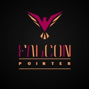 MT4-Falcon pointer 20