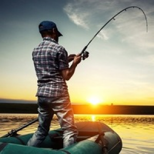 MT4-Forex Fishing