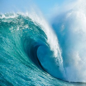 MT4-ForexWave
