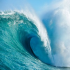 MT4-ForexWave