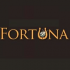 MT4-Fort