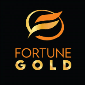 MT4-Fortune Gold