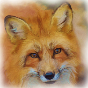 MT4-Fox EA