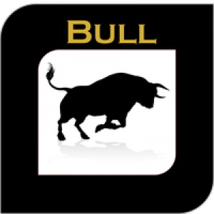 MT5-Funding Bull