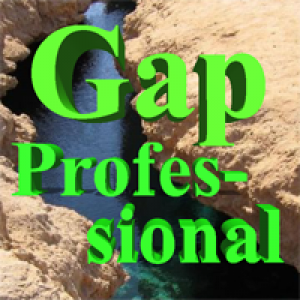 MT4-Gap Professional