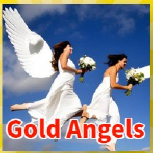 MT4-Gold Angels