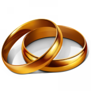 MT4-Golden Rings MT4