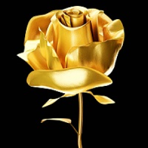 MT4-Golden Rose MT4