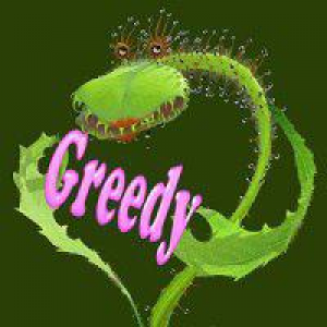 MT4-Greedy