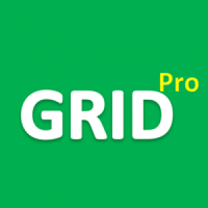 MT5-Grid System