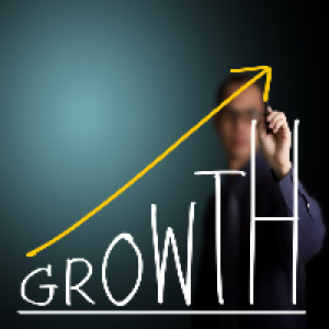 MT5-Growth Manager